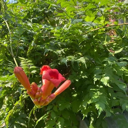 A Beautiful House Near Airport Krakow-balice Σπίτι διακοπών Zalas