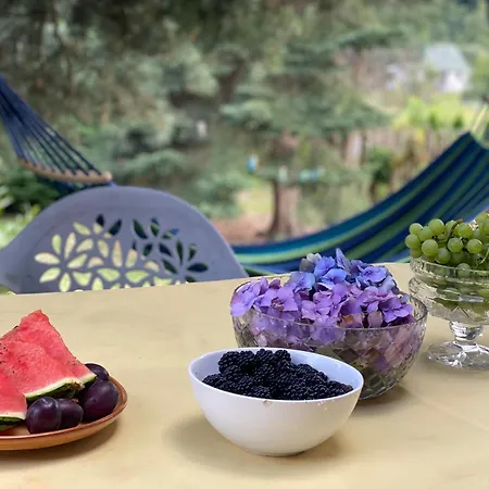 Σπίτι διακοπών A Beautiful House Near Airport Krakow-balice