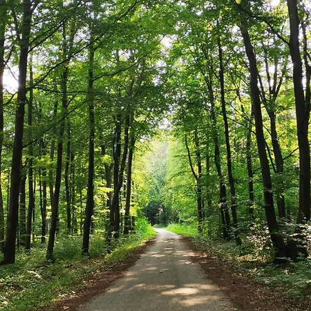 A Beautiful House Near Airport Krakow-balice