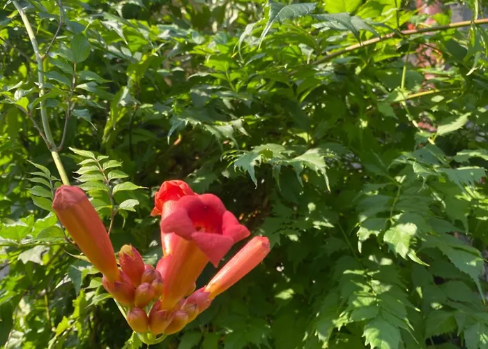 A Beautiful House Near Airport Krakow-balice Tatil Evi Zalas