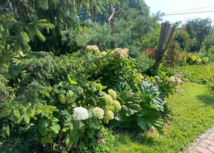 A Beautiful House Near Airport Krakow-balice Tatil Evi