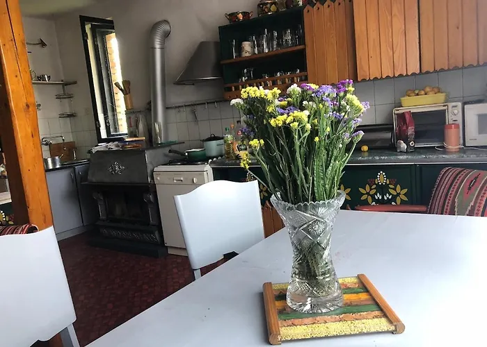 A Beautiful House Near Airport Krakow-balice Tatil Evi Zalas