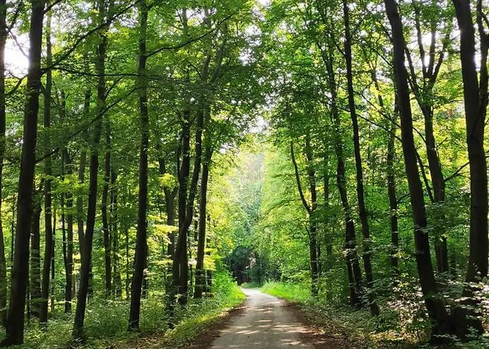 A Beautiful House Near Airport Krakow-balice
